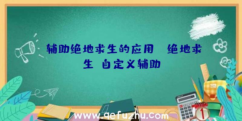 「辅助绝地求生的应用」|绝地求生-自定义辅助